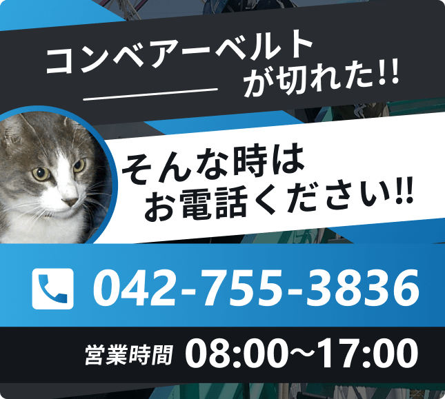 「コンベアーベルトが切れた！！そんな時はお電話ください！！」というキャッチコピーと、猫の写真、電話番号「042-755-3836」、営業時間「08:00〜17:00」が記載された修理サービスの広告画像。
